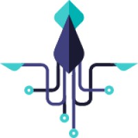 IT Squid logo - Similar company to Skill Factory