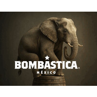 BOMBÁSTICA logo - Similar company to Bombai Agencia