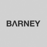 Barney Studio logo - Similar company to Lighting Beetle*
