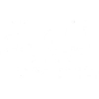 SELVA HUYGENS logo - Similar company to Fomme