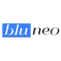 Bluneo logo - Similar company to Human Lean