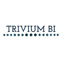 Trivium BI logo - Similar company to Trivium Technology Inc.