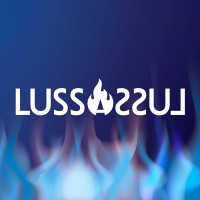 lussassul logo - Similar company to Finkratt