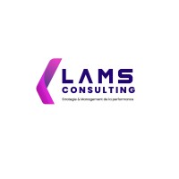 LAMS CONSULTING logo - Similar company to Mapgis Group