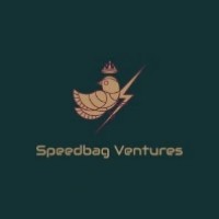 Speedbag Ventures logo - Similar company to 5/3 Fund
