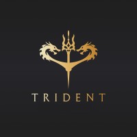Trident Realty logo - Similar company to Trident Realty, Inc.