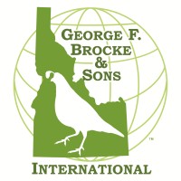 George F. Brocke & Sons, Inc logo - Similar company to Agora | Food Solutions Llc.