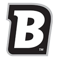 Blichmann Engineering logo - Similar company to Ska Fabricating | Depalletizers, Palletizers & Conveyance