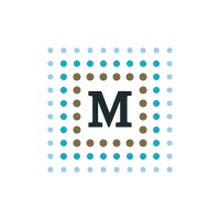 Mina Asset Management Limited logo - Similar company to Lepta Payment Solutions