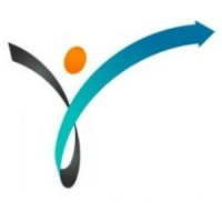 SearchVelocity logo - Similar company to Silicon Halton