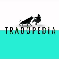 Tradopedia logo - Similar company to Hexacom Technologies Pvt Ltd