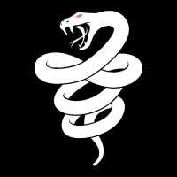 Skeler Security logo - Similar company to Lunar Ai Studio