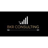 BKR CONSULTING logo - Similar company to Bkr Software Consulting & Technology Ag