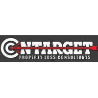 OnTarget PLC logo - Similar company to Ontarget Consulting Services, Llc