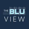 The BluView logo - Similar company to Datalink Systems