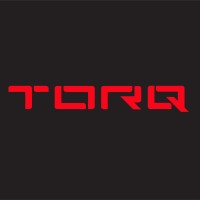 Torq Engineering India logo - Similar company to Excel Engineering Services