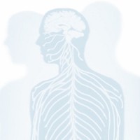 North Shore Radiology And Nuclear Medicine