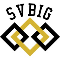 SVBIG logo - Similar company to Docaid