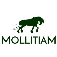 Mollitiam logo - Similar company to Mollitiam Ab