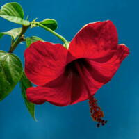 Unfoldi.ng logo - Similar company to Emcap Empowering Capabilities