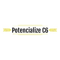 Potencialize C6 - C6 Bank - Conexão C6 logo - Similar company to Connect Cast