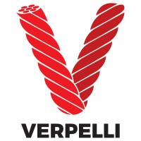 Verpelli & C. s.r.l. logo - Similar company to Vlogic