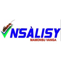 NSALISY, LDA. logo - Similar company to Cosoftw
