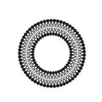 CureSupport logo - Similar company to Cellg8® Liposomal Technology