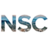 Newport Search Consultants logo - Similar company to Trifect Solutions