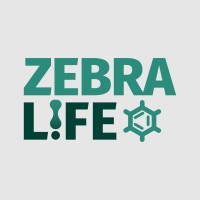 ZEBRA-LIFE PROJECT logo - Similar company to Studio Em Design