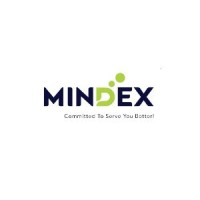 Mindex Capital logo - Similar company to Financeseva