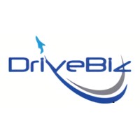 DriveBiz Marketing Consultants logo - Similar company to Play To Scale
