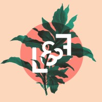 Lumen & Fox logo - Similar company to Stepshot