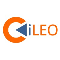 iLEO Advies & Interim logo - Similar company to Pi Benelux B.V.
