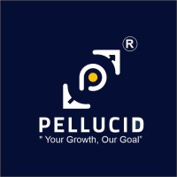 PELLUCID MANAGEMENT CONSULTANCY SERVICES PRIVATE LIMITED logo - Similar company to Findash