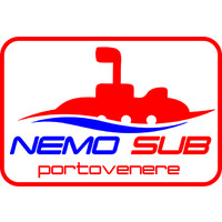 NEMOSUB s.r.l. logo - Similar company to Groundlift Media Gmbh