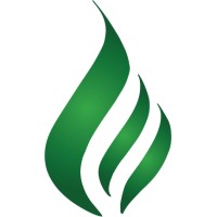 The Chappelle Group, Corporation logo - Similar company to Sparkr Industries, Llc