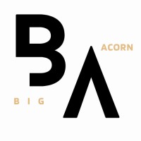 Big Acorn Ventures LLC logo - Similar company to Acta Wireless