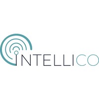Intellico AG logo - Similar company to Keyvision.Eu