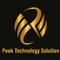 PTS-IT solution logo - Similar company to S&S It Solution