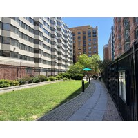 Friends Of The Tenth Street Park