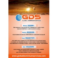 GDI logo - Similar company to Codling Capital Group