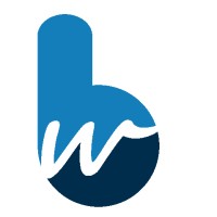 BestWebs Solution logo - Similar company to Unisoft Informatics System