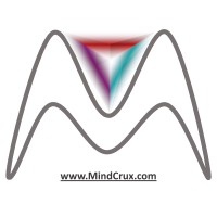 MindCrux Inc. logo - Similar company to Hisabkaro