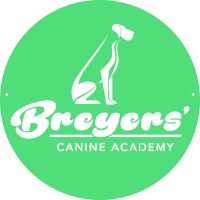 Breyers' Canine Academy logo - Similar company to Sc Solar Energy Inc.