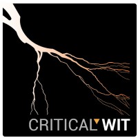 Critical Wit, LLC logo - Similar company to Odd Qubit