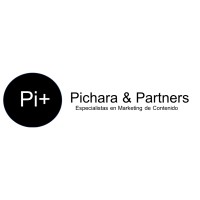 Pipartners logo - Similar company to Pi Partners