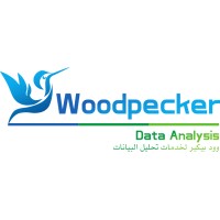 Wood Pecker Data Analysis logo - Similar company to Best Wing Tech Solutions Llc