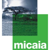 Fundação Micaia logo - Similar company to Digital Plug_Mz