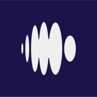 CyberNet AI logo - Similar company to Aica - Central Asian Association For Ai